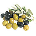 Ham Zeytin